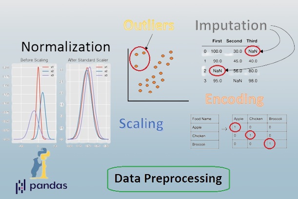 Data Pre-processing